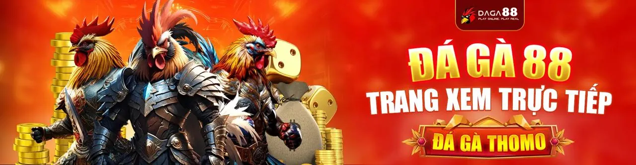 Đá gà trực tiếp tại BKWIN
